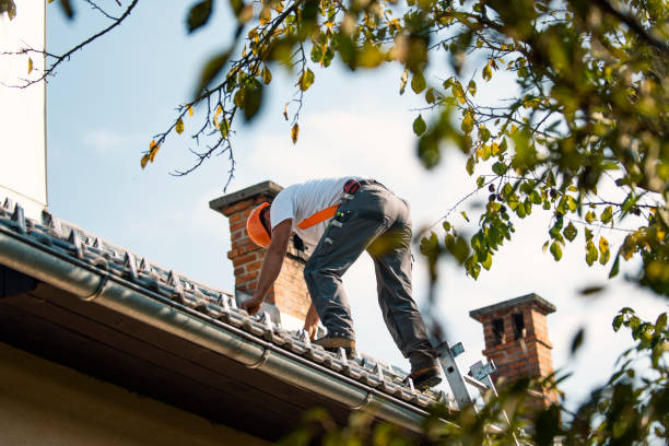 Best Residential Roofing Contractor  in Argentine, MI