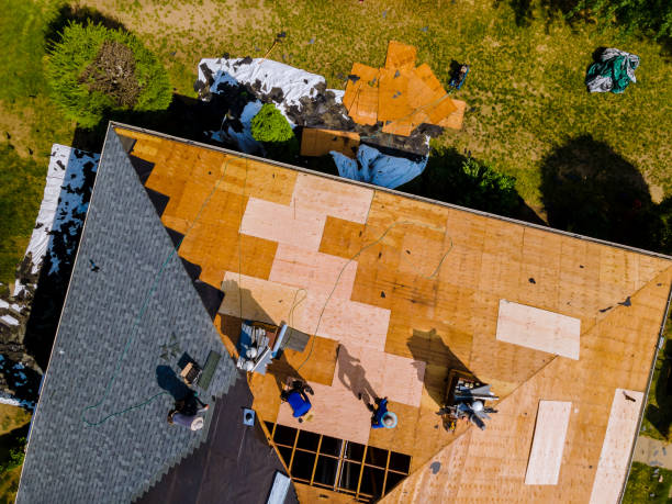 Reliable Argentine, MI Roofing Contractor Solutions