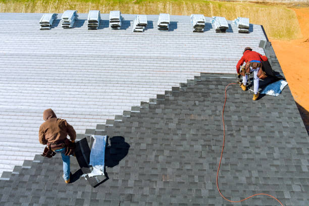 Best Storm Damage Roof Repair  in Argentine, MI