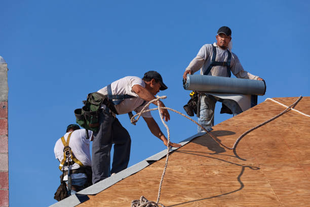 Best Gutter Installation and Roofing  in Argentine, MI