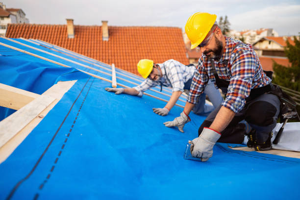 Best Roof Leak Repair  in Argentine, MI