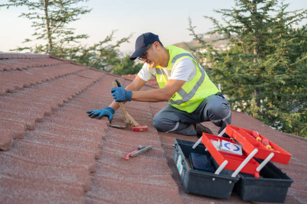 Best Emergency Roof Repair  in Argentine, MI