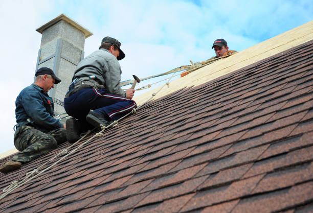 Residential Roof Replacement in Argentine, MI