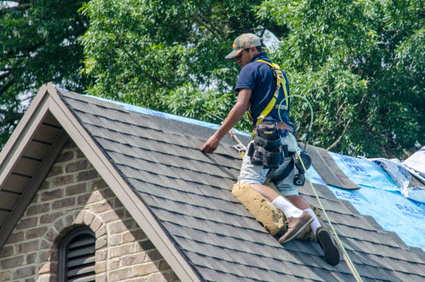 Best Residential Roof Replacement  in Argentine, MI